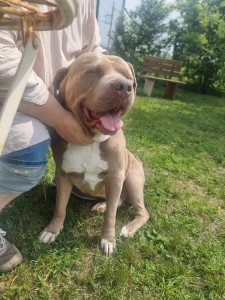 Zeus
