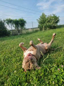 Zeus wuzelt