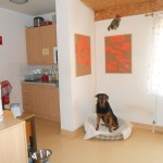 kleiner Küchenbereich -dient seit längerer Zeit auch immer einem unserer Hunde als Aufenthaltsraum.