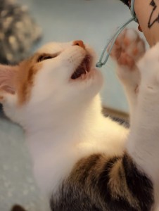 Melody spielt
