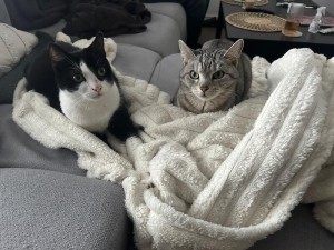 Pablo und Mila